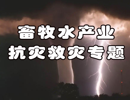 畜牧水产业抗灾救灾专题