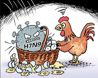 H7N9流感防控专题