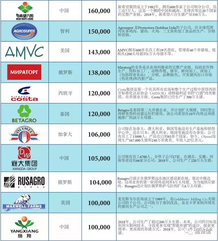 2019全球企业排行_2019全球保险行业排名 世界保险公司十大排名2019